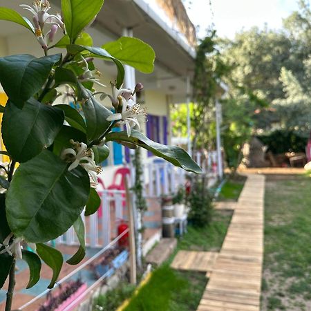 Gaya Pansiyon Cirali Kemer Extérieur photo